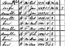 Census Data