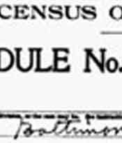 United States Federal Census